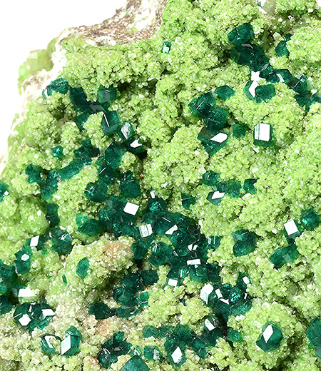 Dioptase with Malachite - Tsumeb Mine, Tsumeb, Oshikoto Region, Namibia