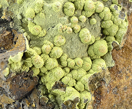 Kidwellite - Coon Creek Mine, Shady, Polk Co., Arkansas, USA