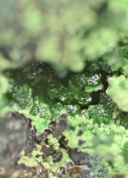 Bayldonite - Borstein, Reichenbach, Lautertal, Bergstra�e, Darmstadt, Hesse, Germany