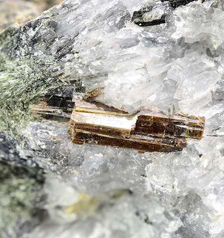 Shcherbakovite - Rasvumchorr Mt, Khibiny Massif, Murmansk Oblast, Russia (Type Locality)