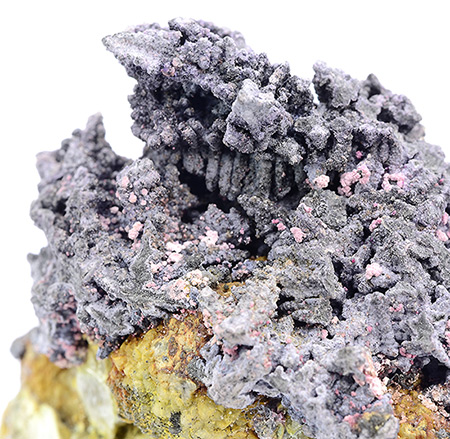 Nickelskutterudite on Silver - Měděnec - Krusn� Hori Mts (Erzgebirge) - Bohemia - Czech Republic