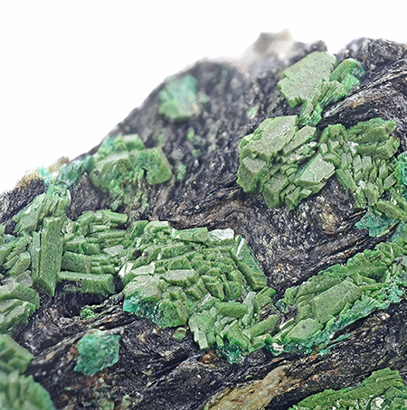 Euchroite - Sv�todu�n� Valley, Liubietov� ore belt, Western Slovensk� Rudohorie Mts, Bansk� Bystrica Region, Slovakia (TL)