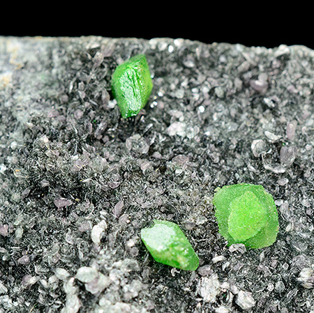 Diopside var Chromian - Benilov - Russia Federation