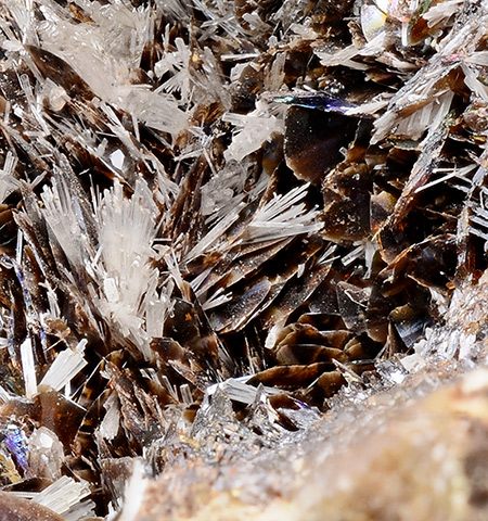 Nadorite with Valentinite - Hammam N'Bails - Djebel Nador - Costantine Province - Algerien (Type Locality)