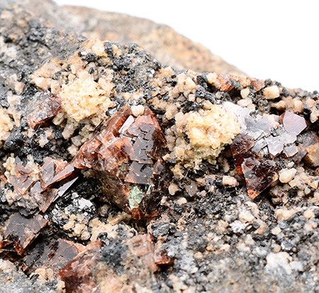 Helvine - H�rtekollen, Sylling, Buskerud, Norway