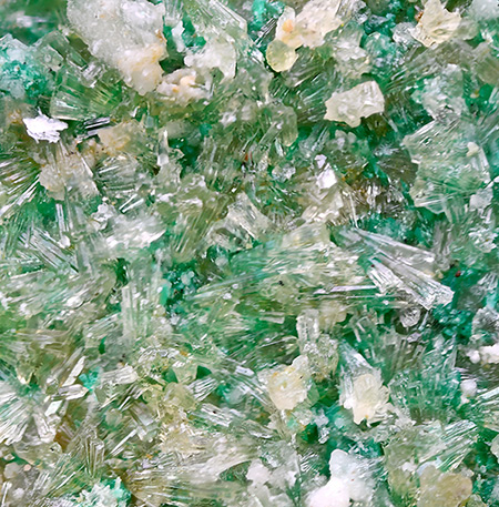 Sanrom�nite - Santa Rosa Mine, Santa Rosa-Huantajaya mining district, Iquique Province, Tarapac�, Chile (TL)