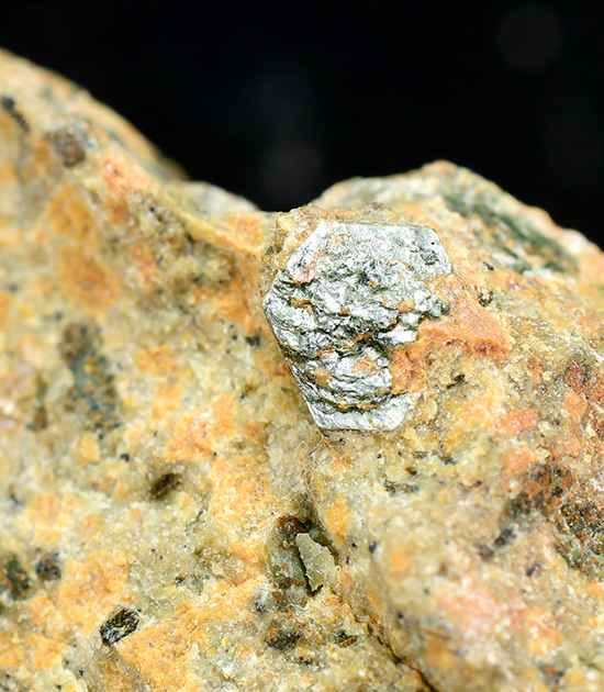 Sudoite - Cedec Valley - Gran Zebr�, Valfurva - Sondrio prov. - Lombardy - Italy