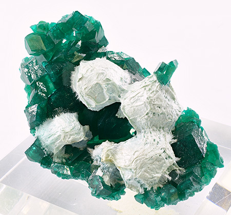 Dioptase with Plancheite - Tantara Mine, Shinkolobwe, Katanga Copper Crescent, Katanga (Shaba), Democratic Republic of Congo (Za�re)