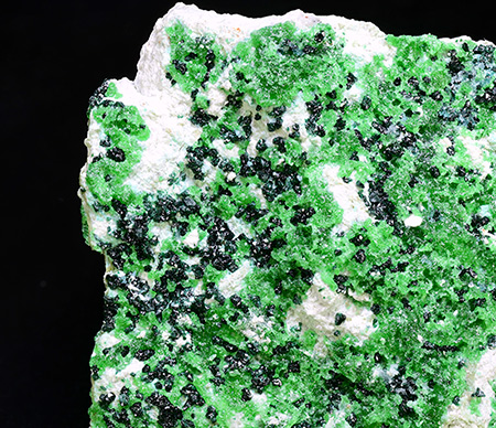 Natrochalcite with Antlerite - Chuquicamata mine, Calama, Antofagasta Region, Chile