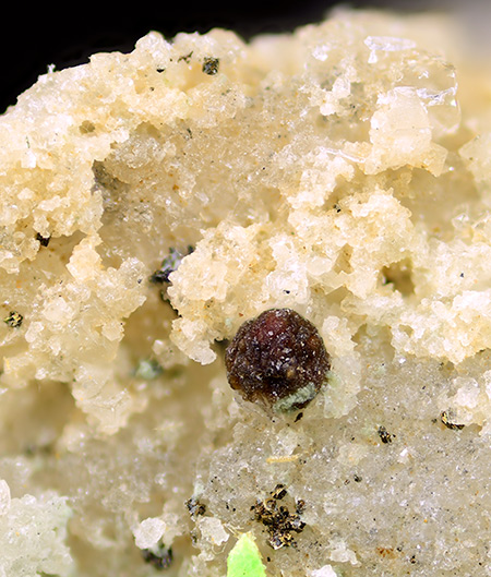 Juonniite - Kovdor Massif, Murmanskaya Oblast', Northern Region, Russia (TL)