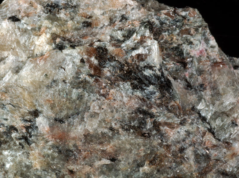Denisovite (TL) - Khibiny Massif, Kola Penisula, Murmansk, Russia