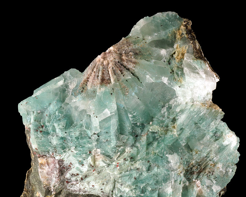 Clinochlore - Pera di Fassa, Trentino-Alto-Adige, Italy