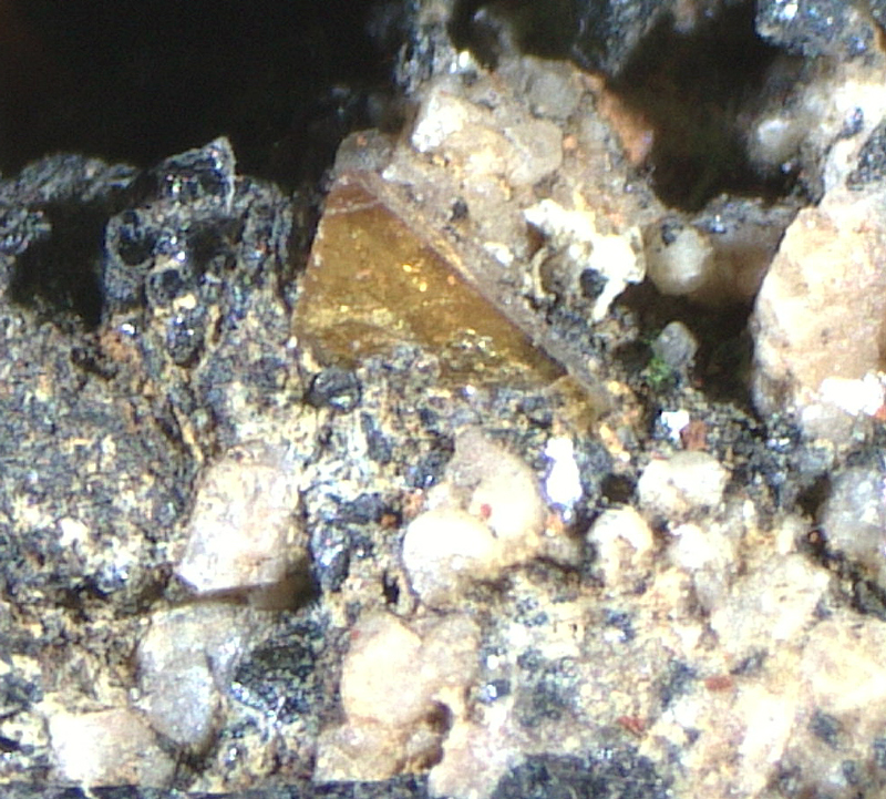 Helvine - H�rtekollen, Sylling, Buskerud, Norway