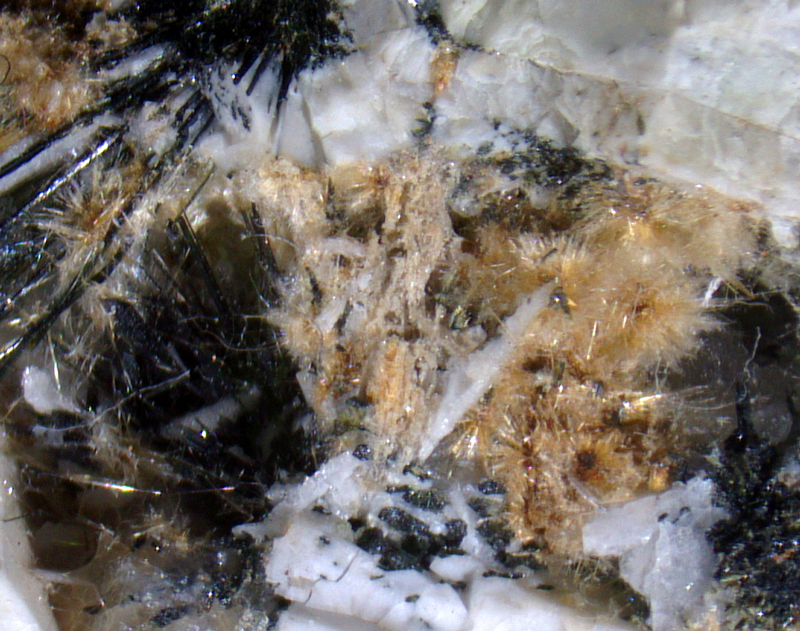 Rinkite-Ce - Magnet Cove, Hot Spring Co., ,Arkansas, USA