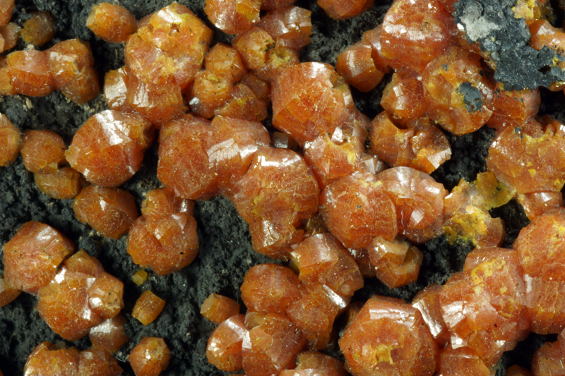 Campylite - Dry Gill mine, Caldbeck Fells, Cumbria, England, UK