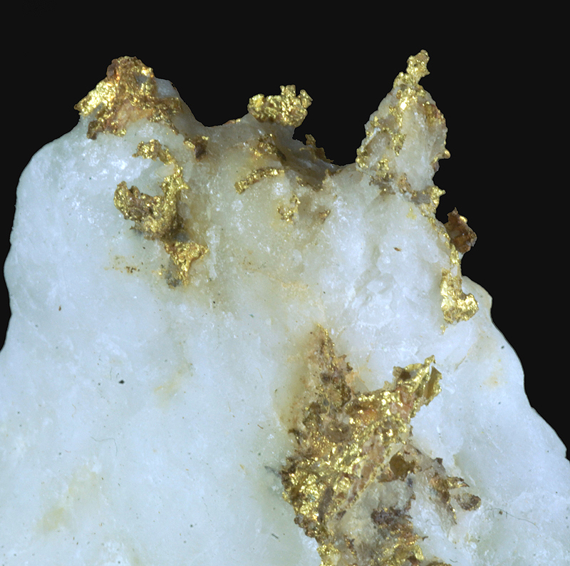 Gold xx - Fenillaz mine, Brusson, ,Aosta Valley, Italy