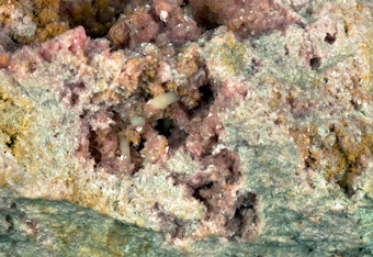 Rhodonite xx - Gambatesa mine, Reppia, Liguria, Italy