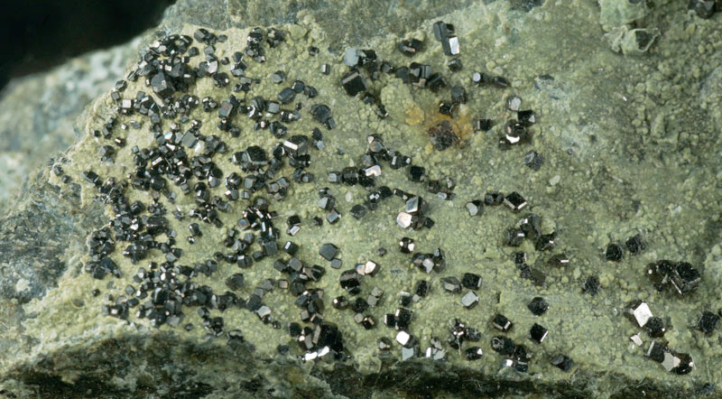 Magnetite xx, Lizardite - Monte dei Tre Abati, Coli, Emilia-Romagna, Italy