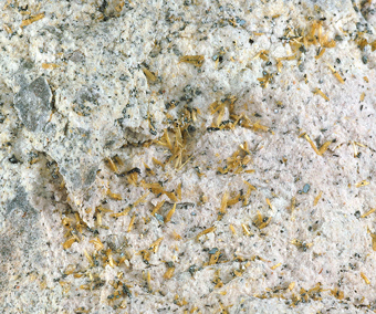 Fluoro-edenite (TL) - Mt Calvario, Biancavilla, Sicily, Italy