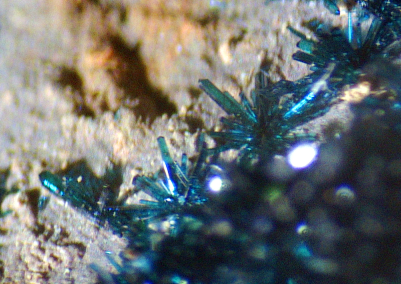 Clinoclase xx - Majuba Hill mine, Antelope Mining District, Nevada, USA