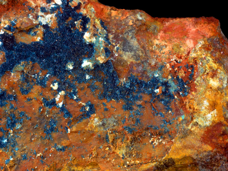 Clinoclase xx - Majuba Hill mine, Antelope Mining District, Nevada, USA