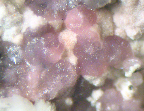 Sainfeldite and Picropharmacolite - Bou Azzer - Morocco
