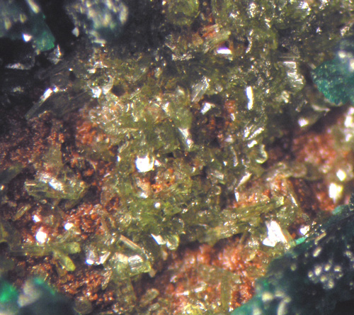 Olivenite and Malachite - Cap Garonne Mine -  France