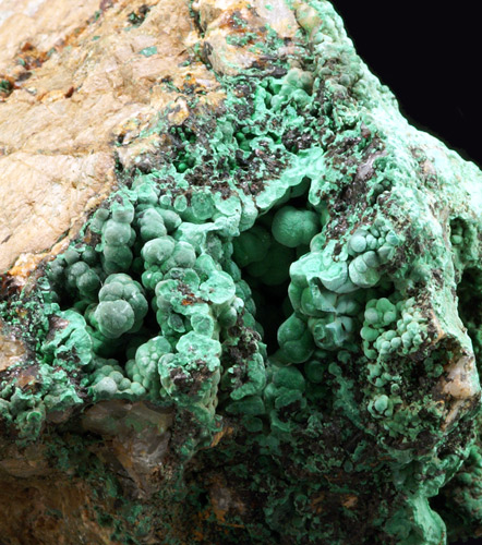 Malachite - Bleida, Bou Azzer District, Morocco