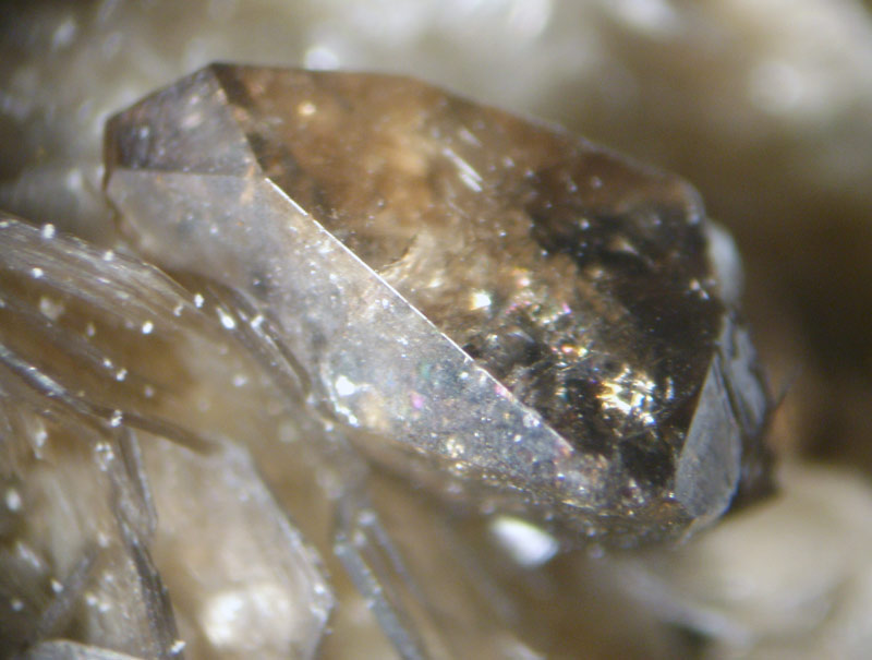 Titanite, Alpe Robiei, Tessin, Switzerland