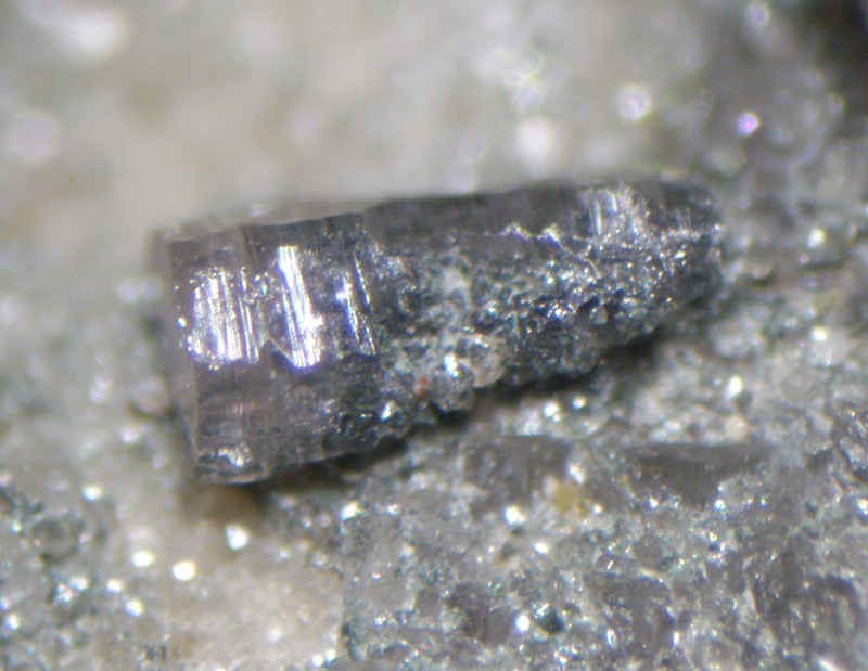 Synchisite, La Fibbia, St Ghottard, Tessin, Switzerland