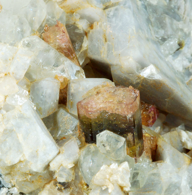 Tourmaline var Elbaite, San Piero in Campo, Isle of Elba, Tuscany, Italy