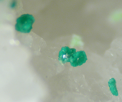 Cornwallite, Clara Mine, Wolfach, Germany