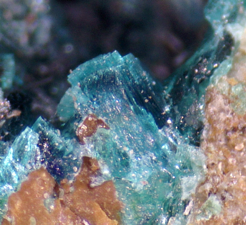 Guanacoite  (TL) and Conichalcite, El Guanaco mine, Guanaco, Chile