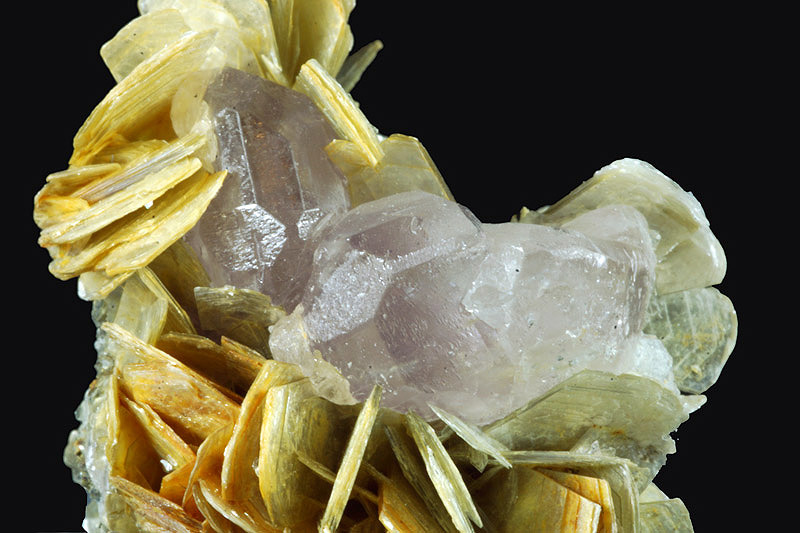 Apatite on Mica - Mt Xuebaoding, Huya deposit, Mianyang Prefecture, Sichuan Province, China