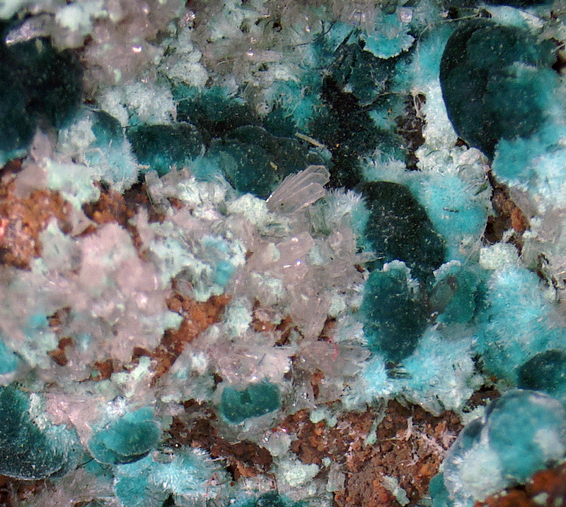Rosasite, Hemimorphite - Ojuela Mine, Mapimi, Durango, Mexico