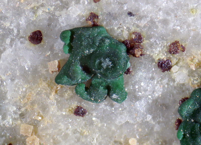Pharmacosiderite, Carminite, Malachite - Cap Garonne mine, Le Pradet, Provence-Alpes-C�te d'Azur, France