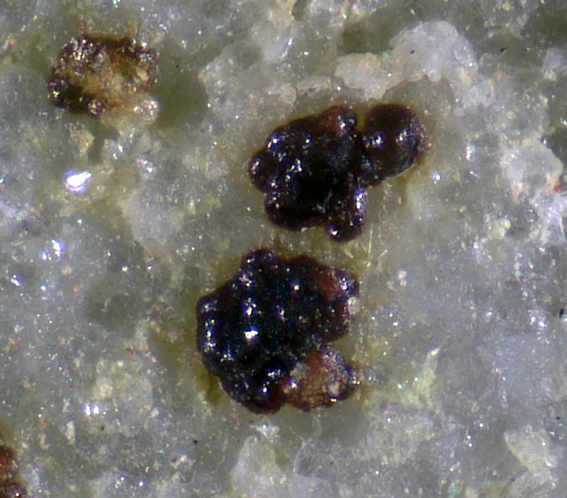 Pharmacosiderite, Carminite, Malachite - Cap Garonne mine, Le Pradet, Provence-Alpes-C�te d'Azur, France