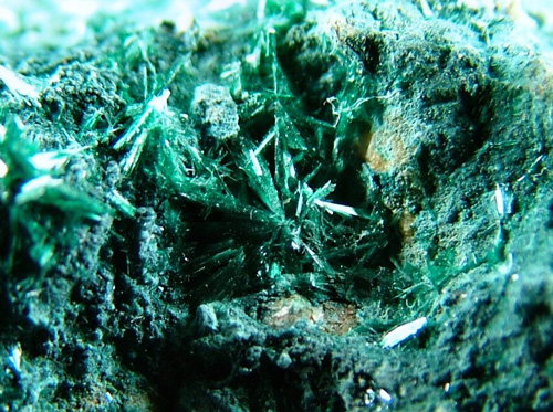 Botallackite - Botallack Mine, Botallack, St Just, Cornwall, England, UK