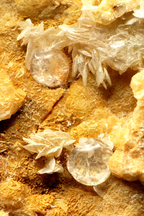 Melanophlogite - Fortullino, Rosignano Marittima, Livorno Province, Tuscany, Italy