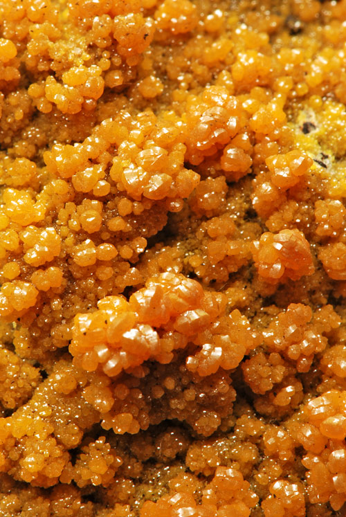 Mimetite var. Campylite - Hat Yai, Songkhla Province, Thailand