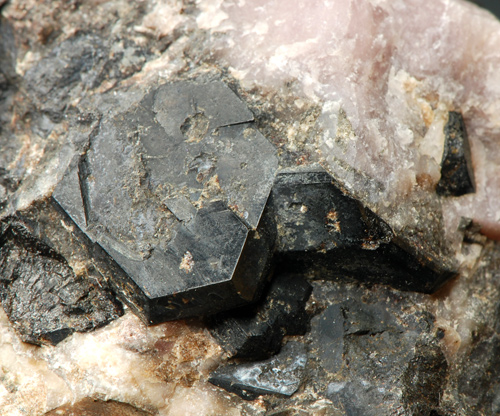 Steenstrupine-(Ce) - Igdlunguaq, Tunugdliarfik Firth, Ilimaussaq complex, Narsaq, Greenland