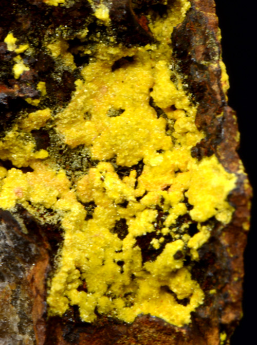 Uranophane - Arcu su Linnarbu, Capoterra, Cagliari Province, Sardinia, Italy