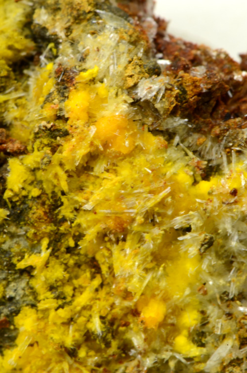 Marecottite - Bukov Mine, Ro�n� deposit, Moravia, Czech Republic