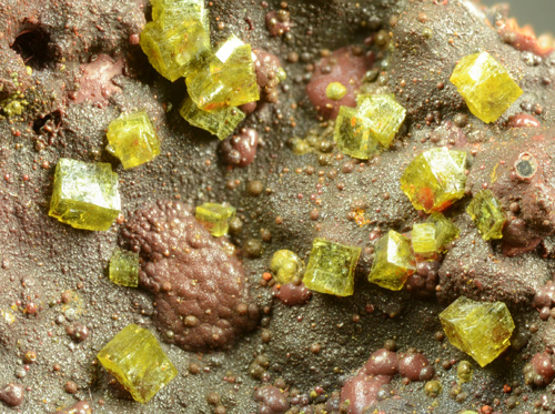 Pharmacosiderite - Perdaniedda Mine, Oridda valley, Domusnovas, Carbonia-Iglesias, Sardinia, Italy
