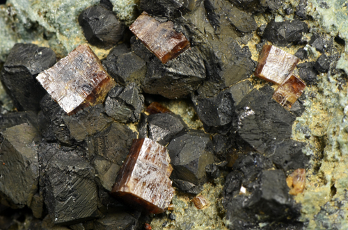 Perowskite and Magnetite - Rocca Sella, Rubiana, Prov. of Torino, Piemone, Italia