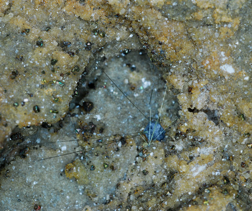 Millerite, calcite, quartz and chalcopyrite - Zollverein mine - Essen - Ruhr Coal Mining area - North Rhine-Westphalia - Germany
