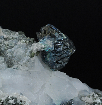 Chalcocite - Bouismas Mine - Bouismas - Bou Azzer Distr. - Tazenakht - Ouarzazate Prov. - Dr�a-Tafilalet Region - Morocco