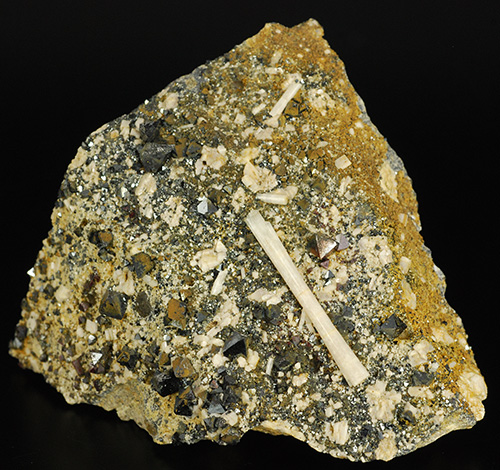 Hydroxylapatite (var. Carbonate-rich Hydroxylapatite) and magnetite - David Mosiah claim - Cerro Hua�aquino - Potos� Deptm. - Bolivia