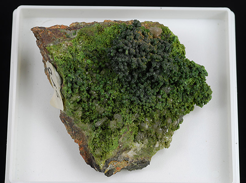 Mottramite - Tsumeb - Otjikoto Region - Namibia