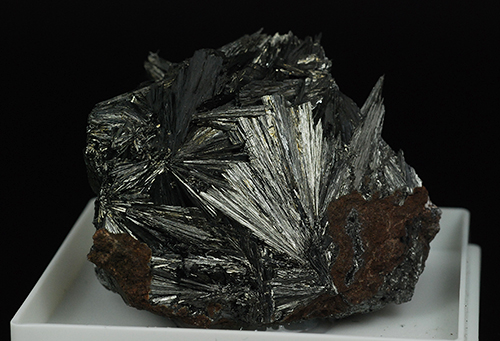 Pyrolusite � Alpe di Siusi - Salto-Sciliar - Bolzano Prov. - Trentino-Alto Adige - Italy